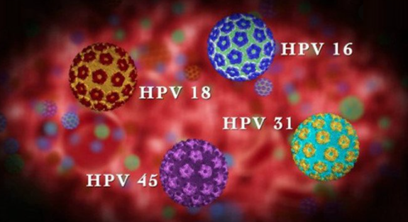 VIRUS HPV là gì? Những bệnh thường gặp do virus HPV gây ra?
